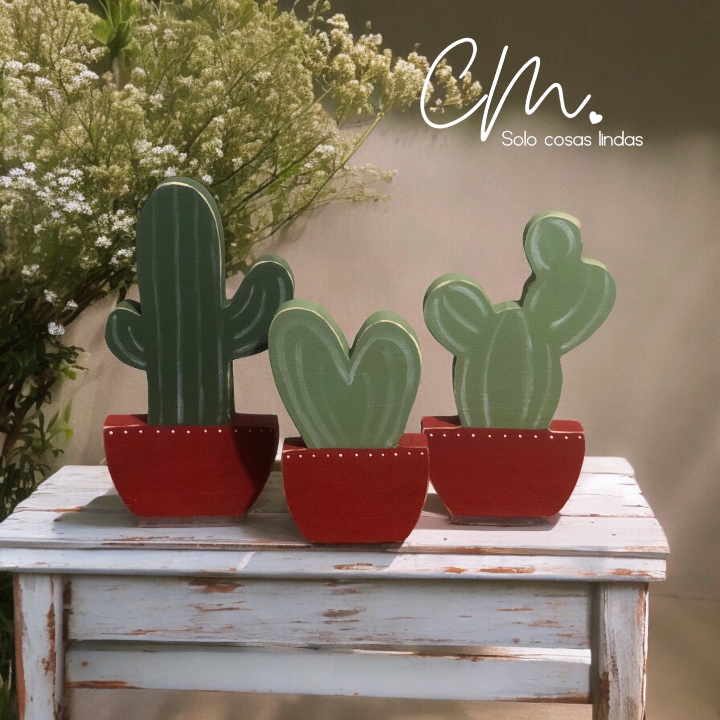Set 3 cactus