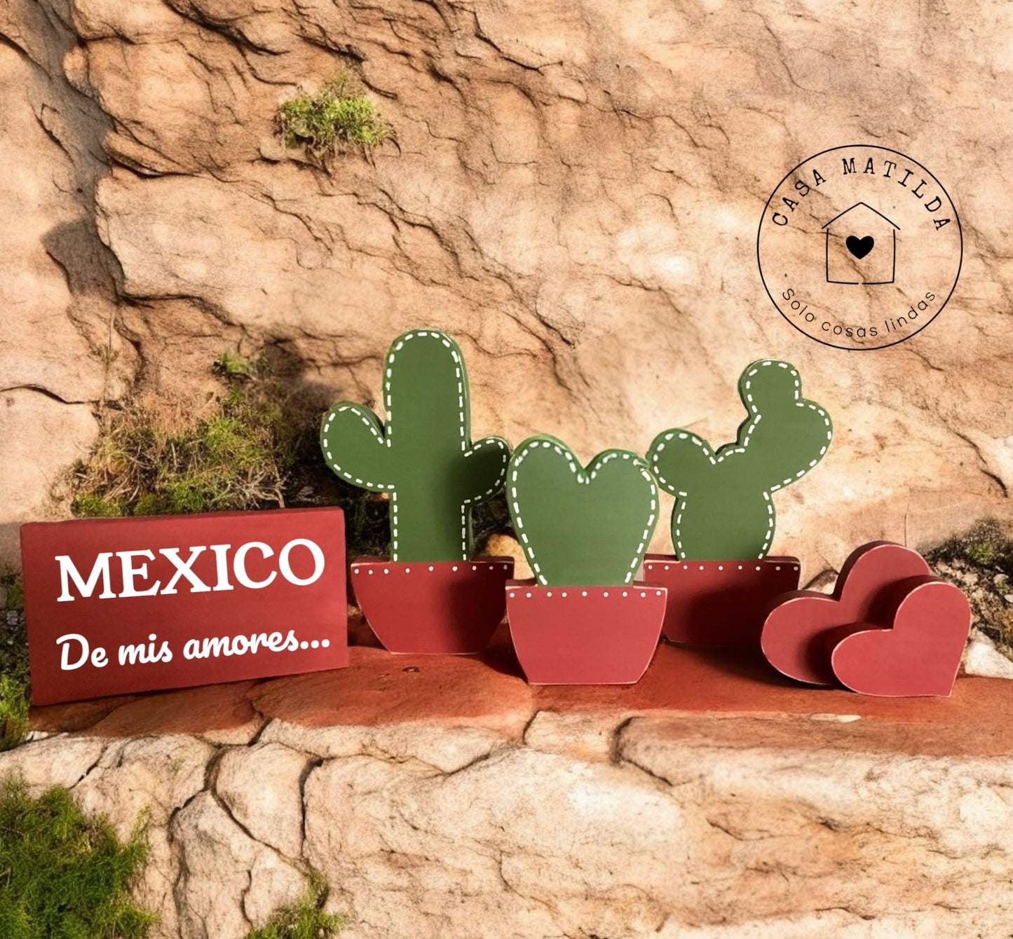 3 Cactus con letrero