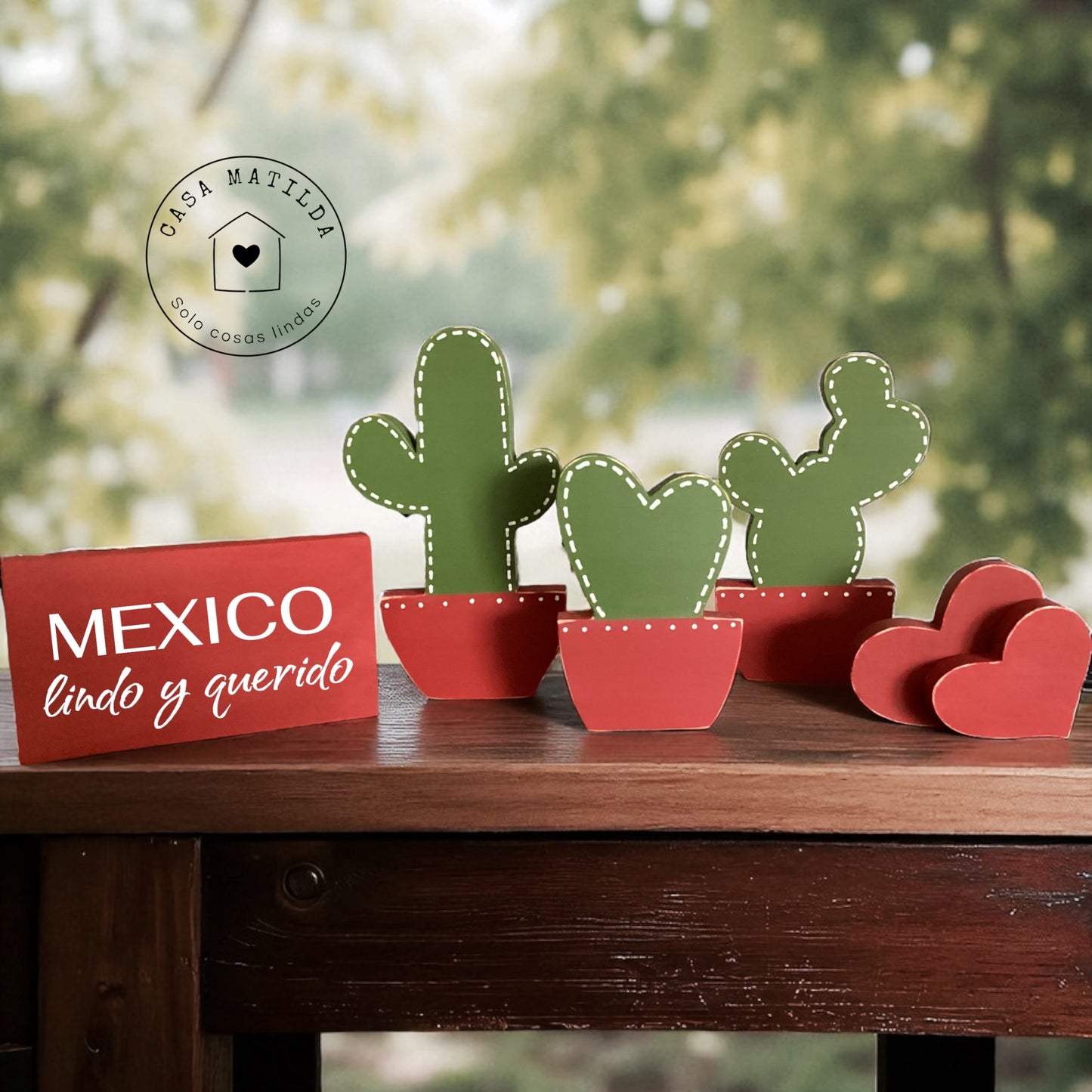 3 Cactus con letrero