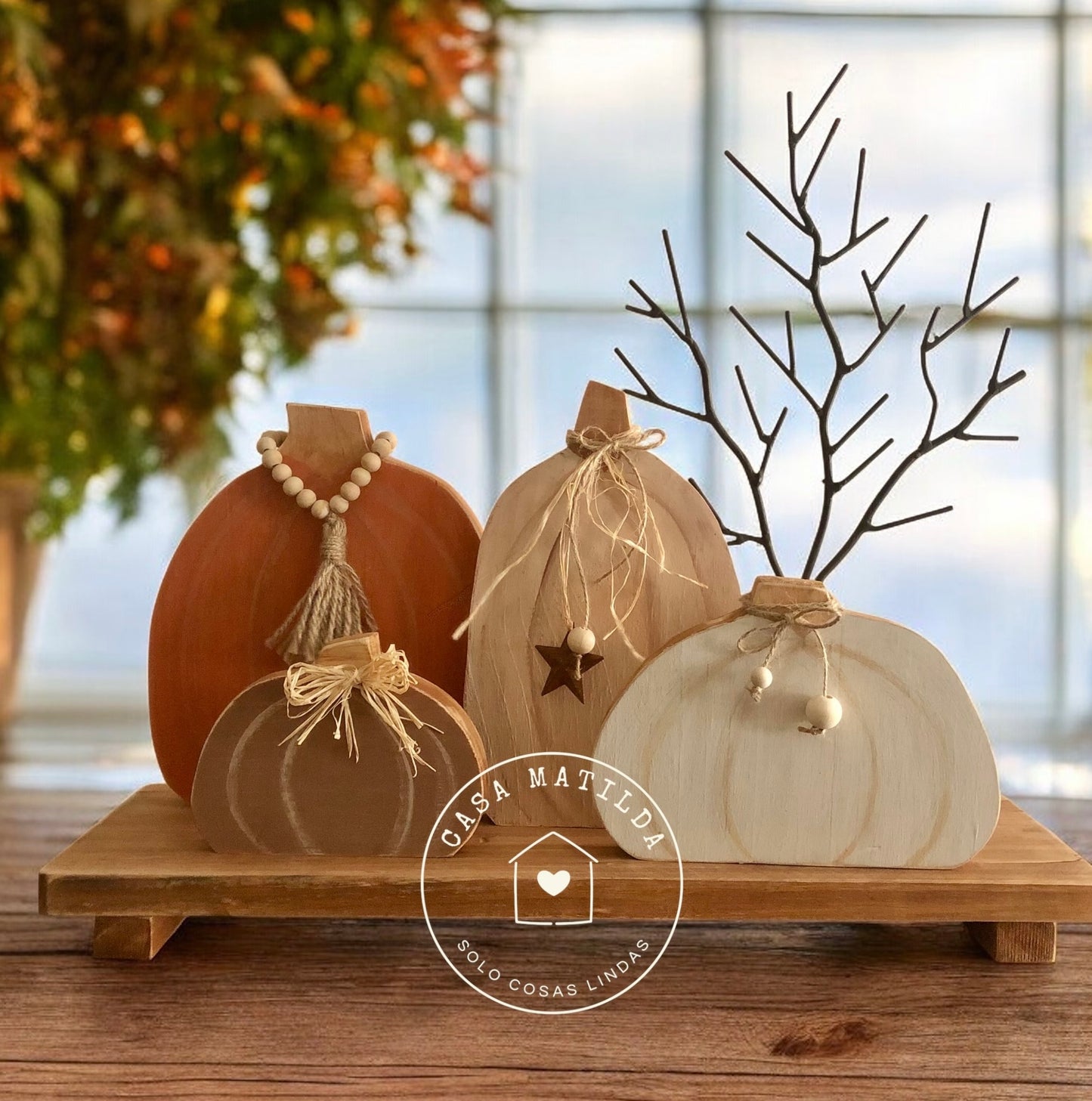 Set 4 Calabazas Chunky #4
