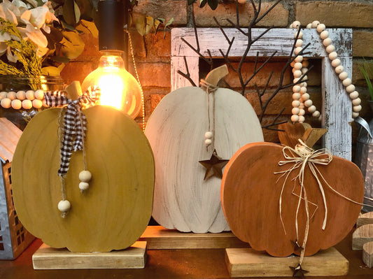 Set 3 calabazas especiales!
